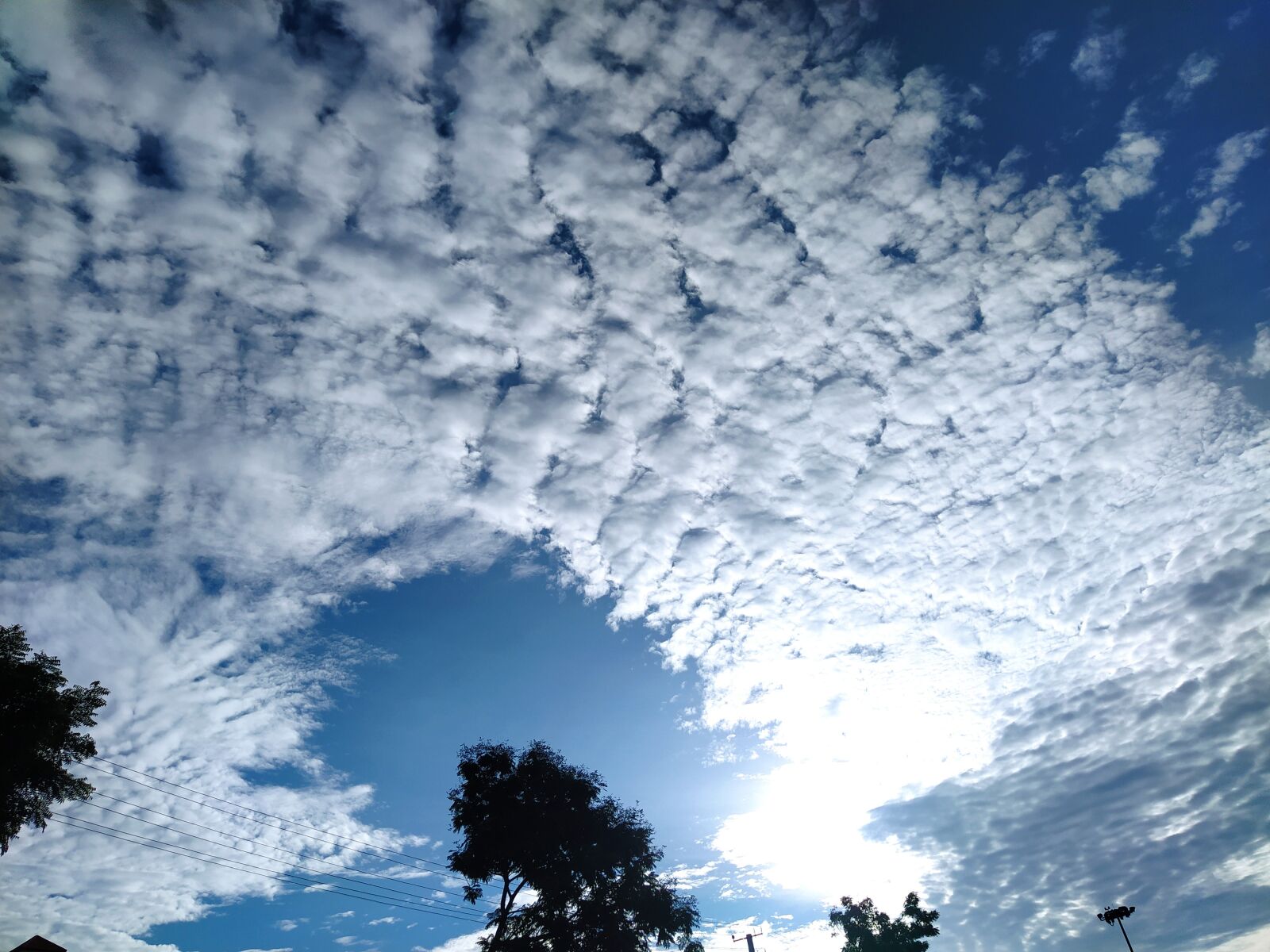 Xiaomi Mi A3 sample photo. Bluesky, morning, india photography