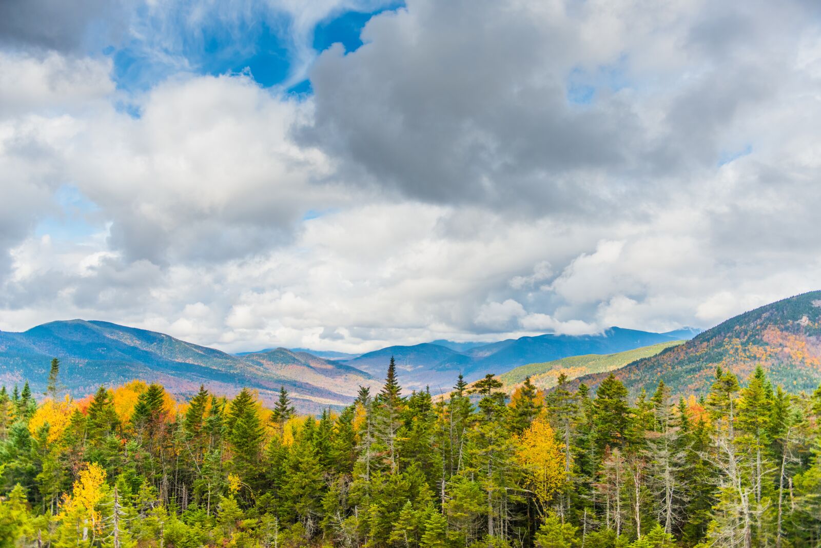 Nikon D800 sample photo. Mountains, trees, forest photography