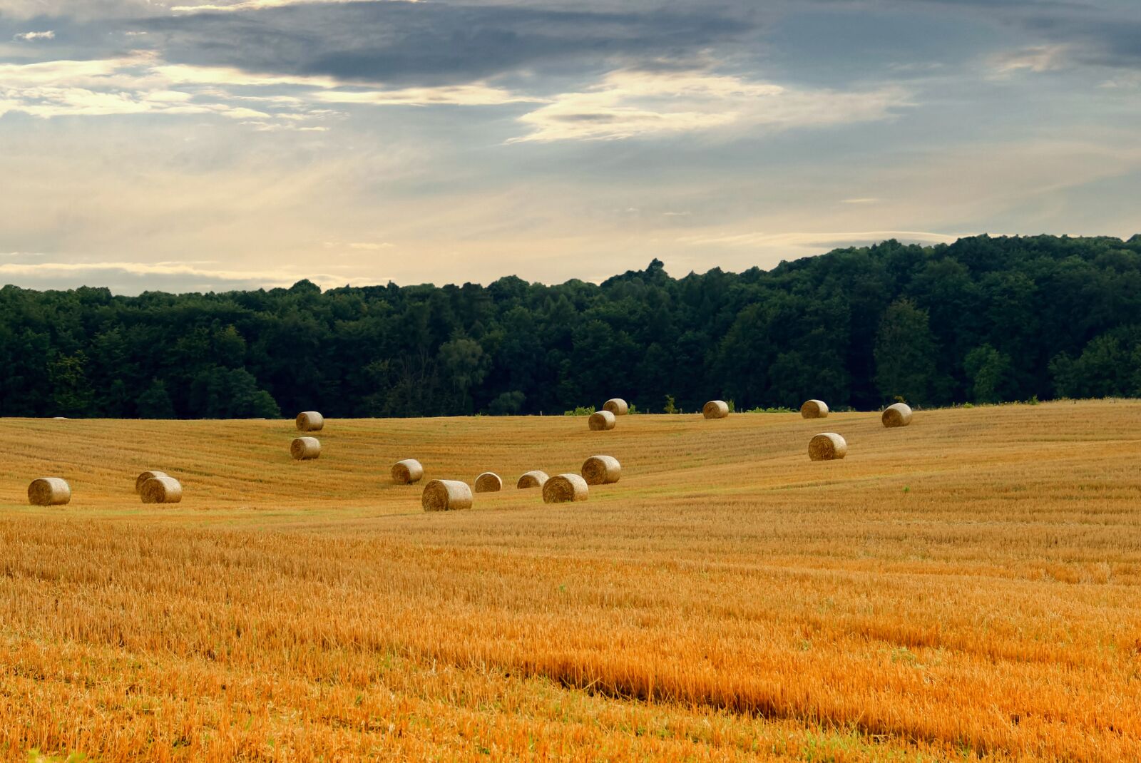 Canon EOS 600D (Rebel EOS T3i / EOS Kiss X5) sample photo. Harvest, field, straw photography