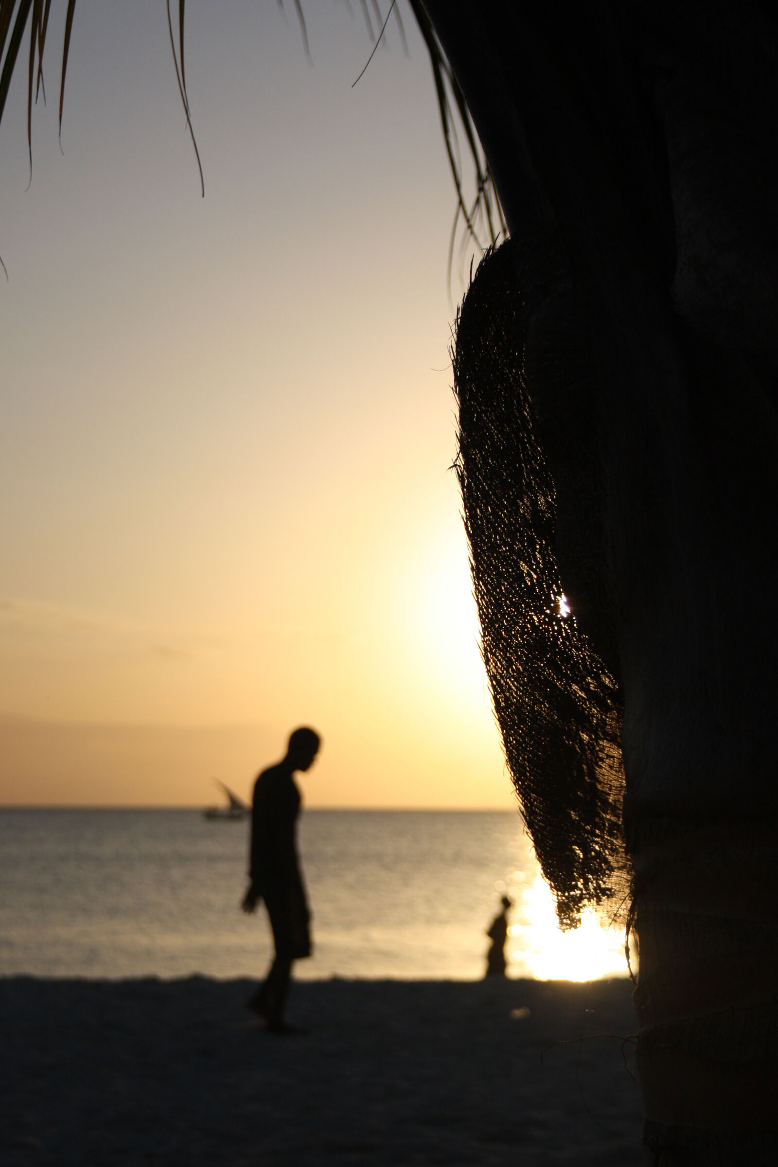 Canon EOS 450D (EOS Rebel XSi / EOS Kiss X2) sample photo. Beach, sun, sunset, zanzibar photography