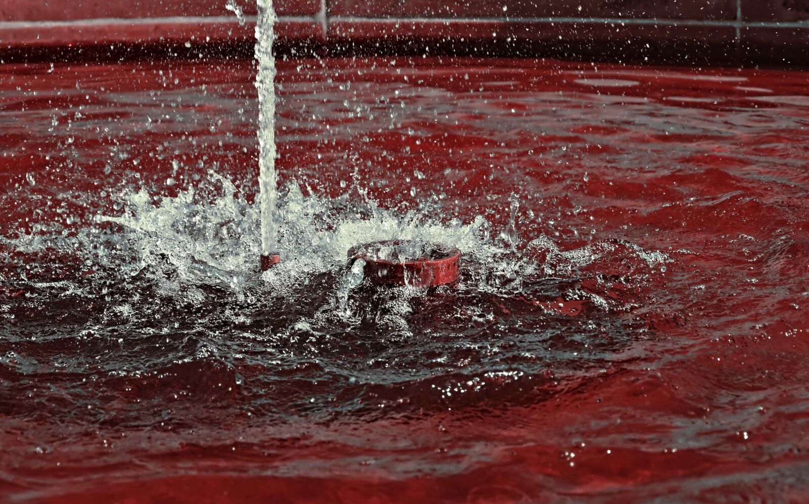 Nikon D5600 sample photo. Water splashes, spray, fountain photography