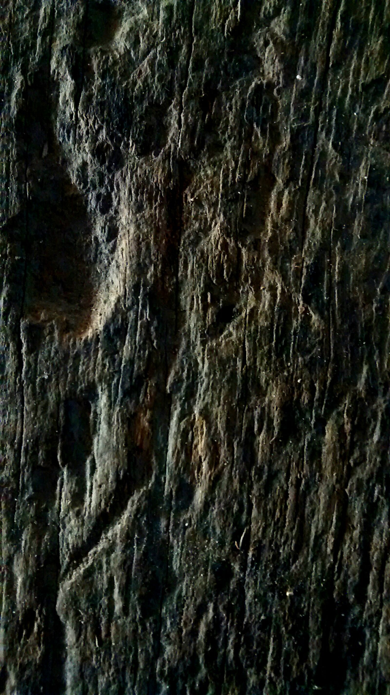 Motorola XT1032 sample photo. Iquitos, peru photography