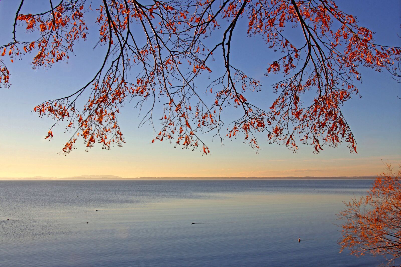 Canon EOS 60D sample photo. Lake, chiemsee, nature photography