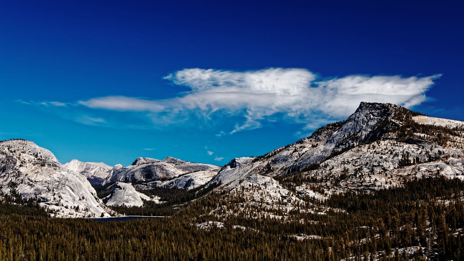 Nikon D50 sample photo. Landscape, california, national park photography