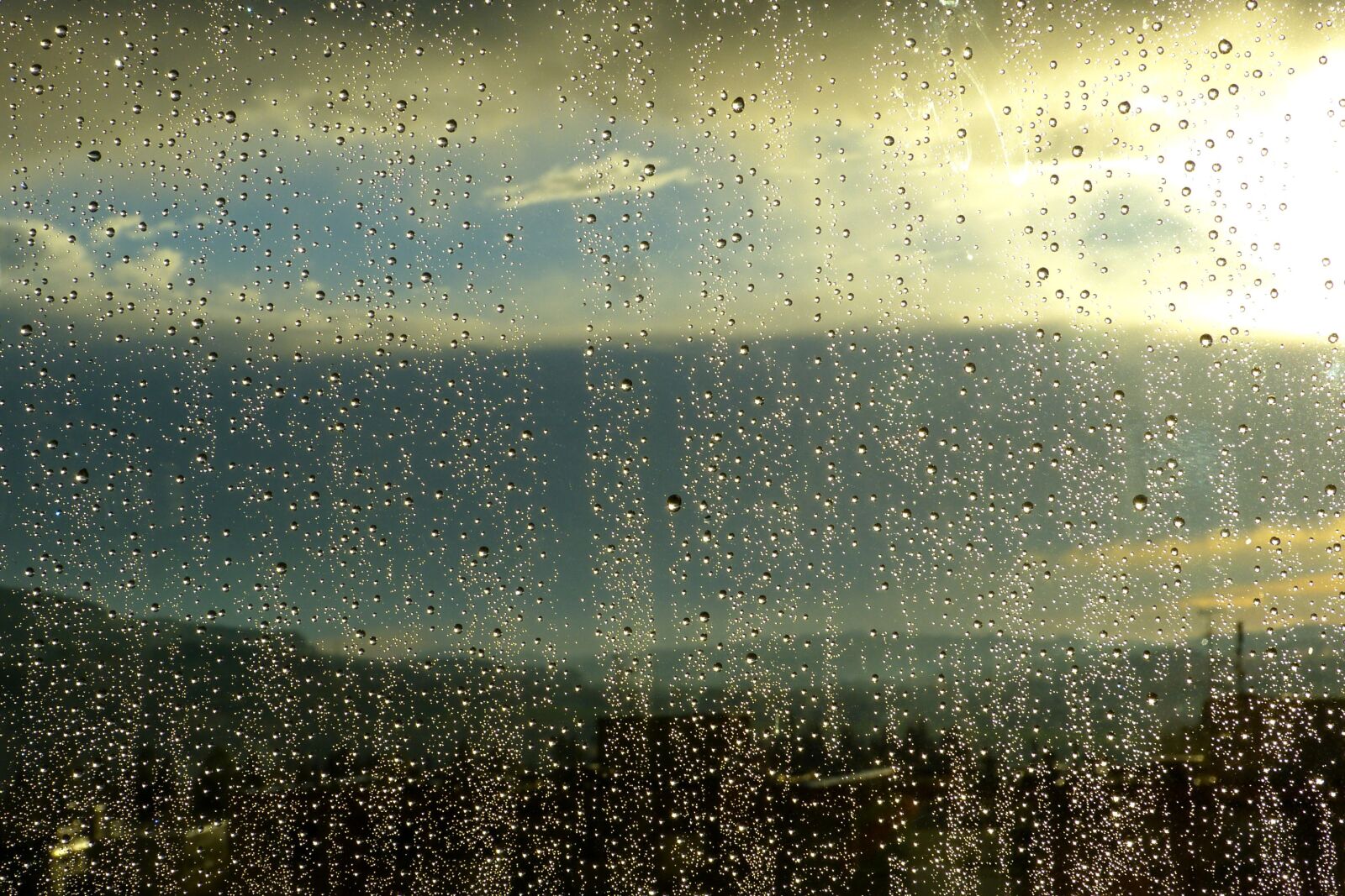 Panasonic Lumix DMC-FZ150 sample photo. Rain, water, wet photography