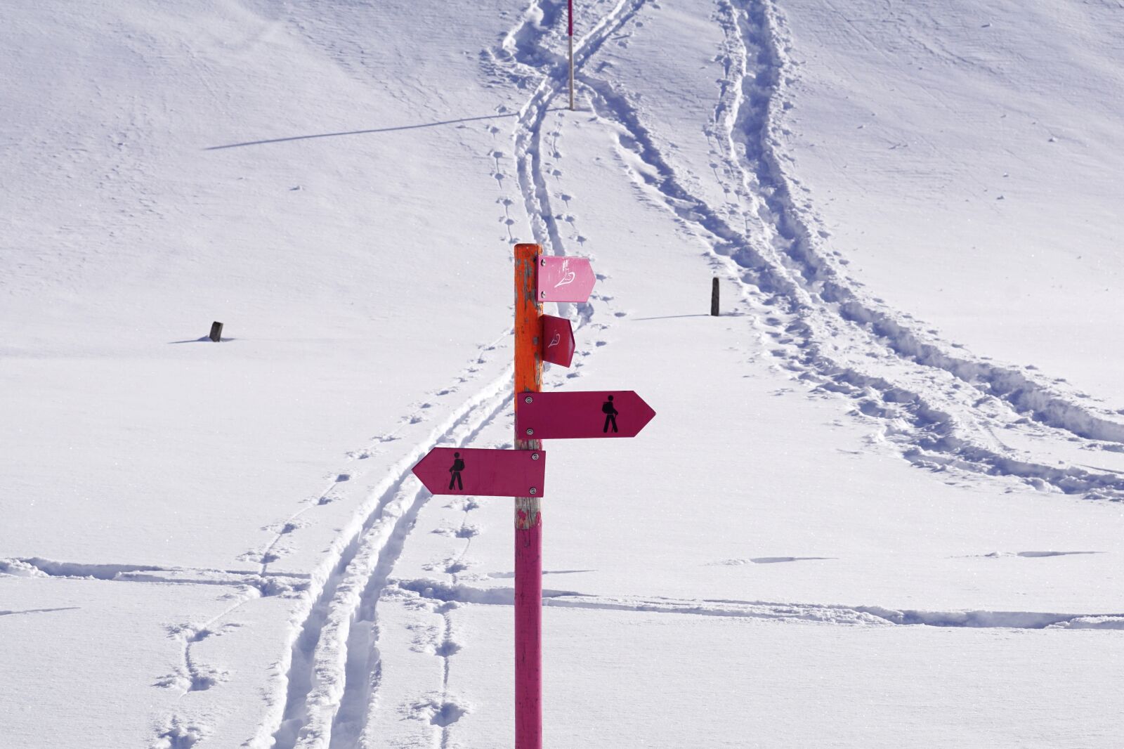 Sony DT 55-300mm F4.5-5.6 SAM sample photo. Snow, winter, cold photography