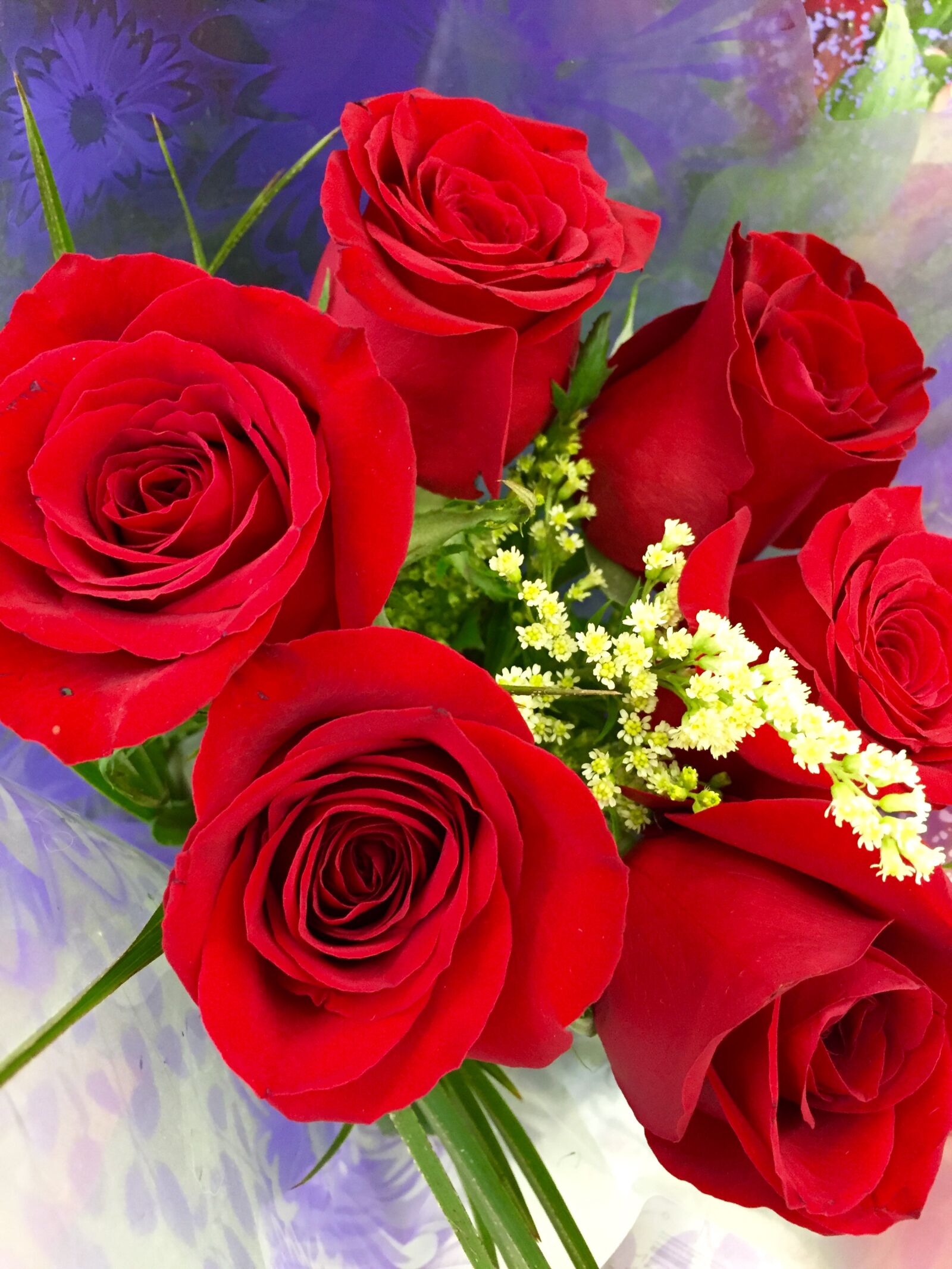 iPhone 6 Plus back camera 4.15mm f/2.2 sample photo. Bouquet, close, flowers, love photography