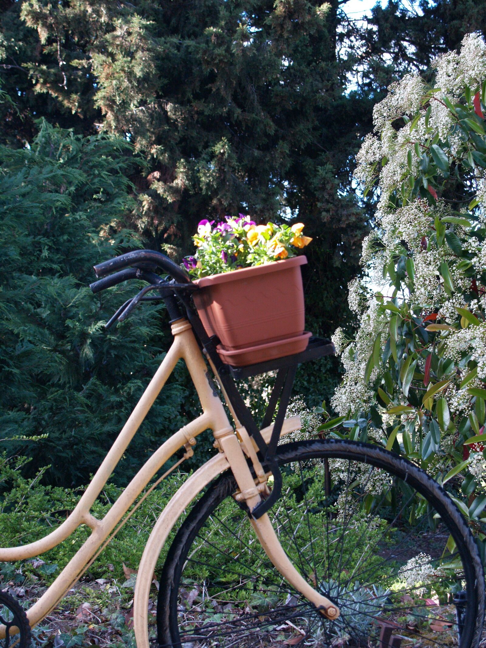 Olympus E-500 (EVOLT E-500) sample photo. Bicycle, flowers, scenic photography
