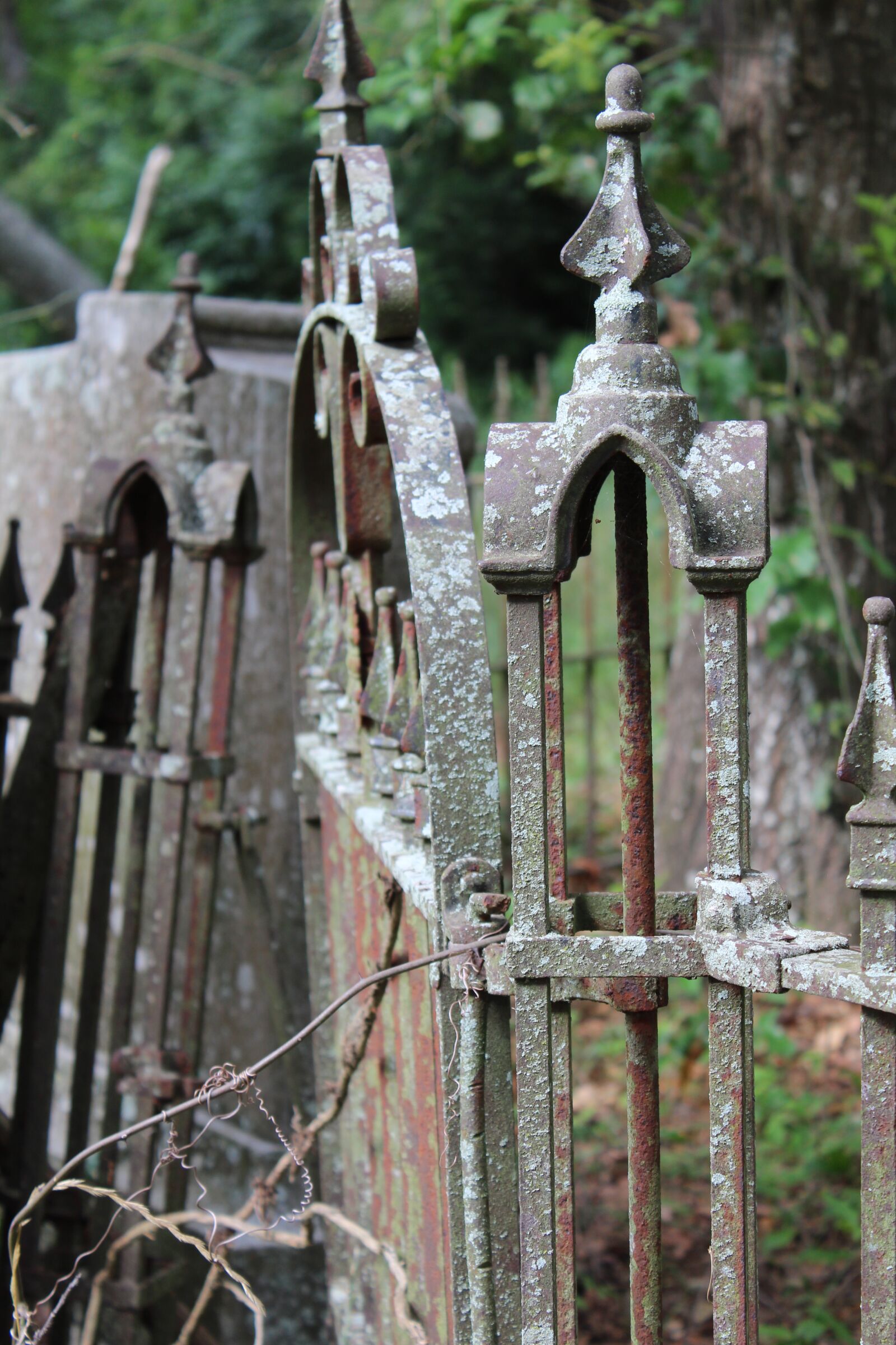Canon EOS 1300D (EOS Rebel T6 / EOS Kiss X80) sample photo. Cemetery, gate, fence photography