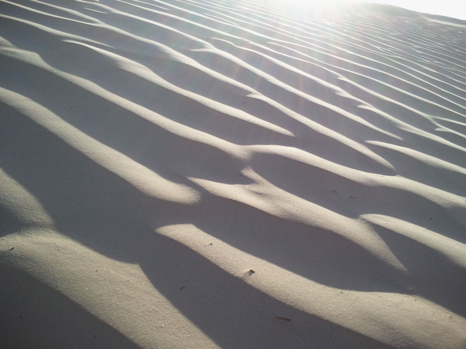 Samsung GT-S8500 sample photo. Desert, sahara, sand photography