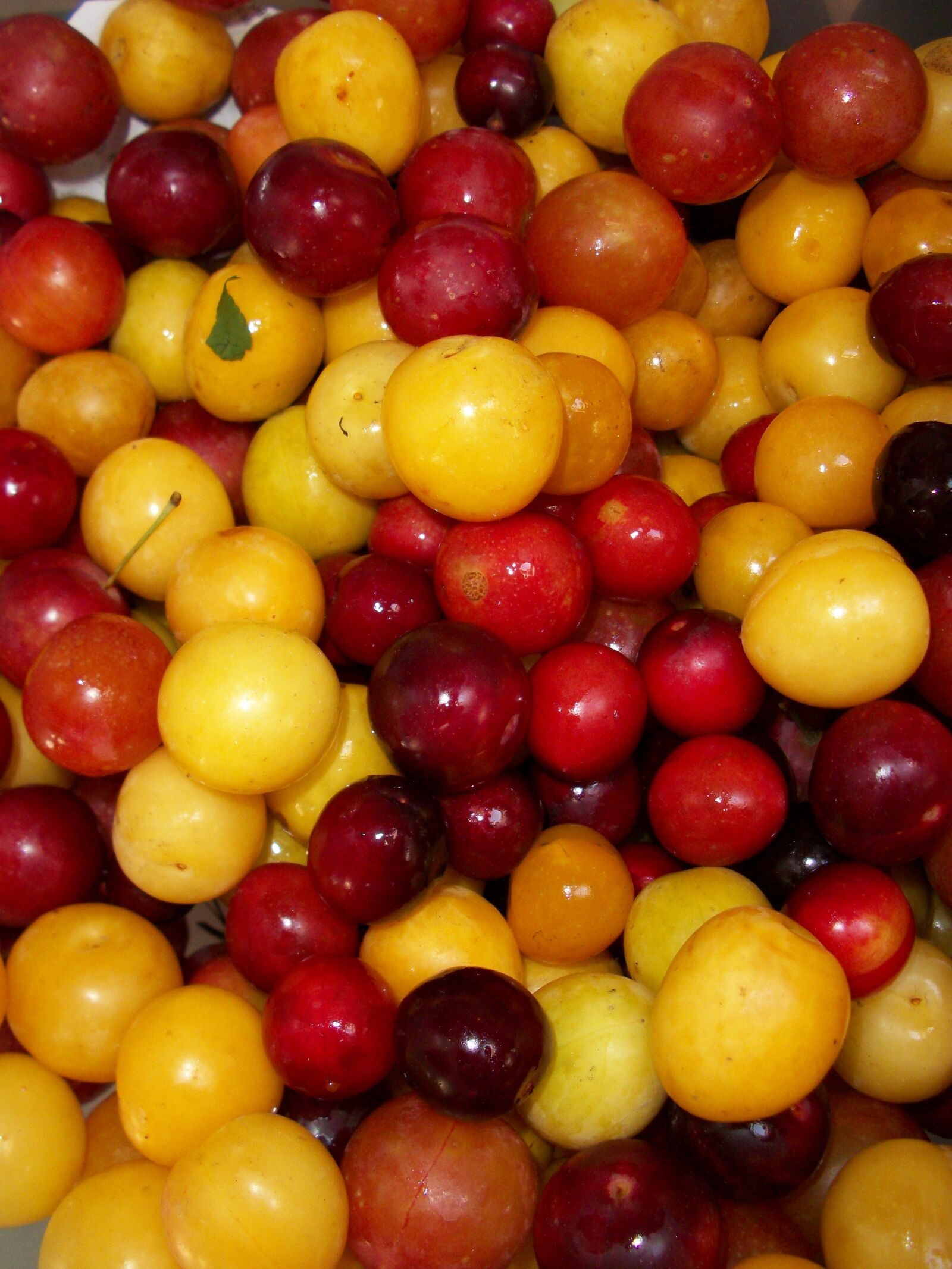 Kodak EASYSHARE M341 DIGITAL CAMERA sample photo. Summer fruit, cherries, fruit photography