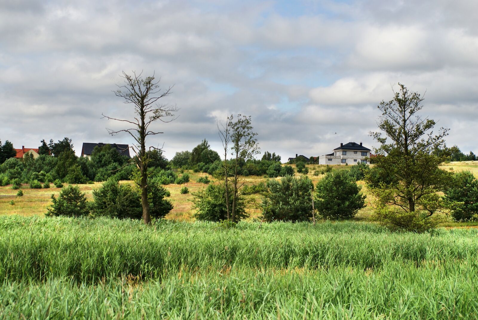 Sony Alpha DSLR-A200 sample photo. Author, skibka, photo photography