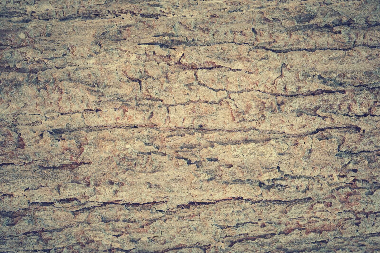 Nikon D700 sample photo. Abstract, antique, backdrop photography