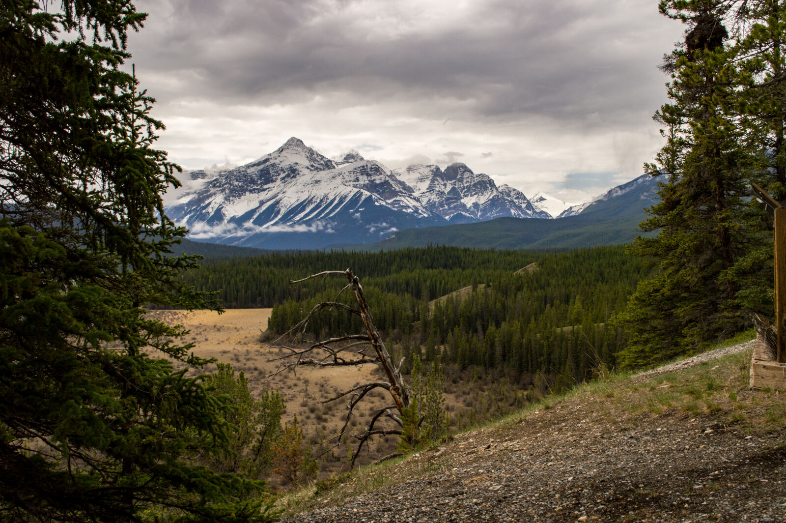 Nikon D3200 sample photo. Banff, beauty, canada, canadian photography