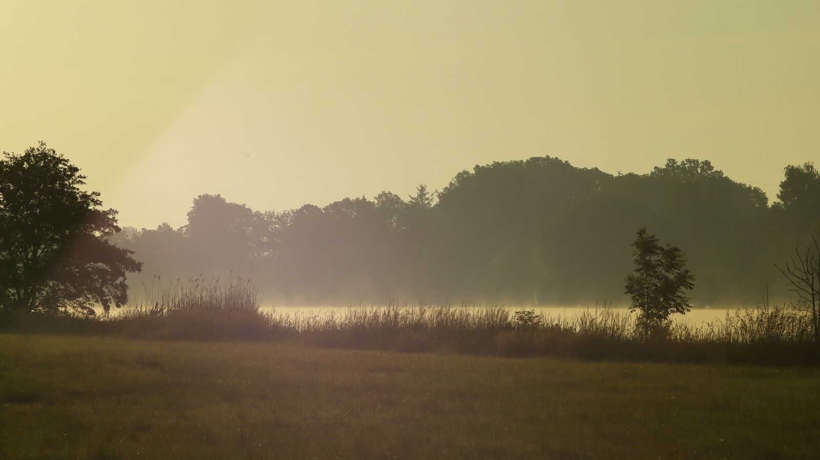 Canon EOS M50 (EOS Kiss M) sample photo. Morgenstimmung, landscape, weser photography