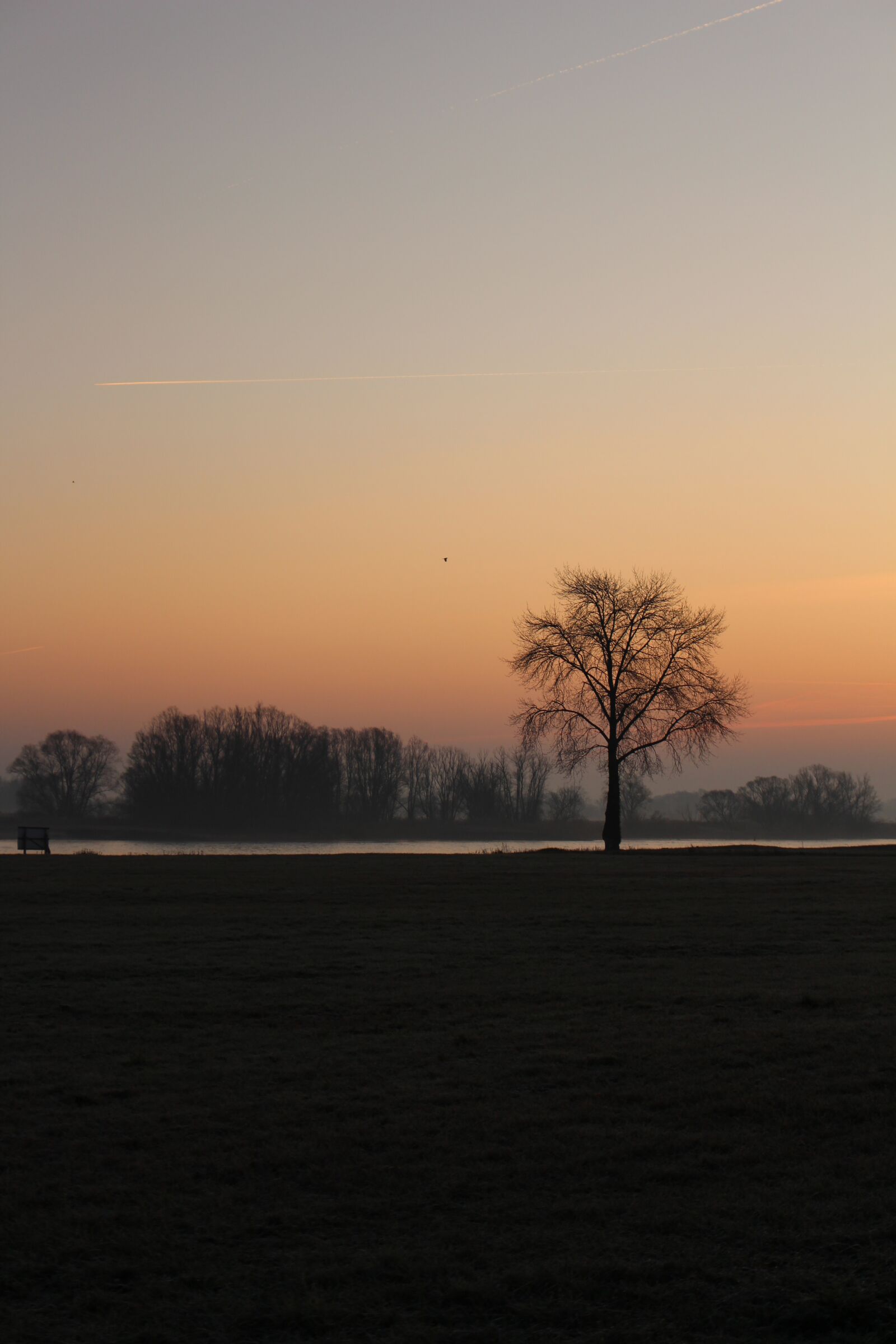 Canon EOS 100D (EOS Rebel SL1 / EOS Kiss X7) sample photo. Sunrise, tree, elbe photography
