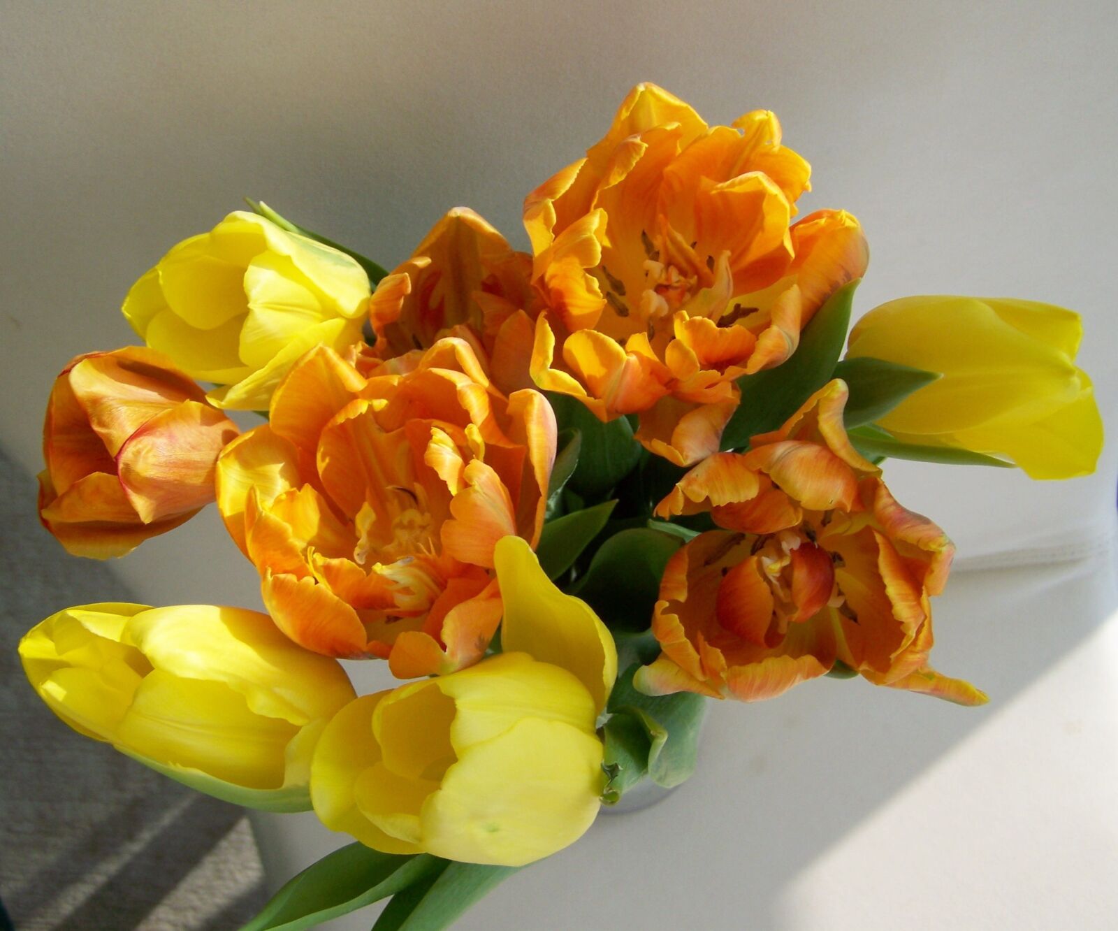 Kodak EASYSHARE ZD710 ZOOM DIGITAL CAMERA sample photo. Tulip bouquet, cut flower photography