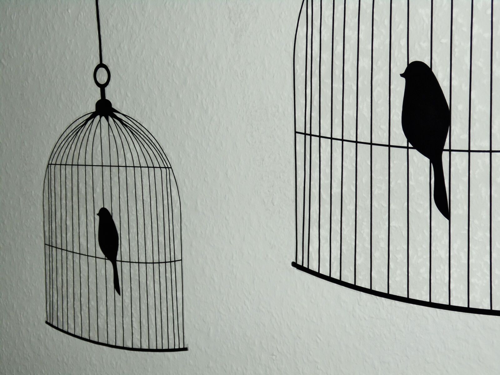 Samsung WB110/  WB111 sample photo. Birds, cage, decoration photography