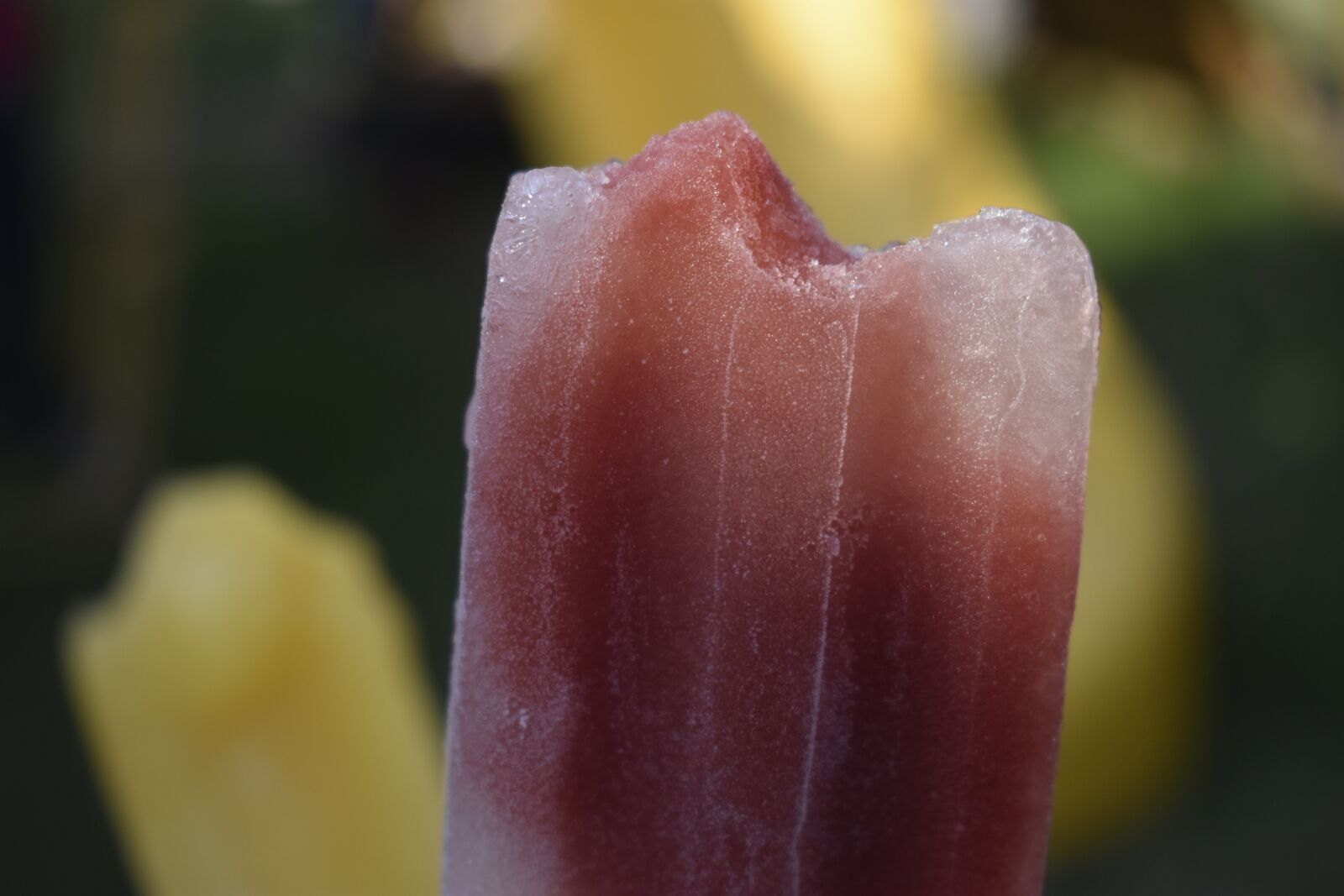Nikon D3400 sample photo. Icy snack, red popsicle photography