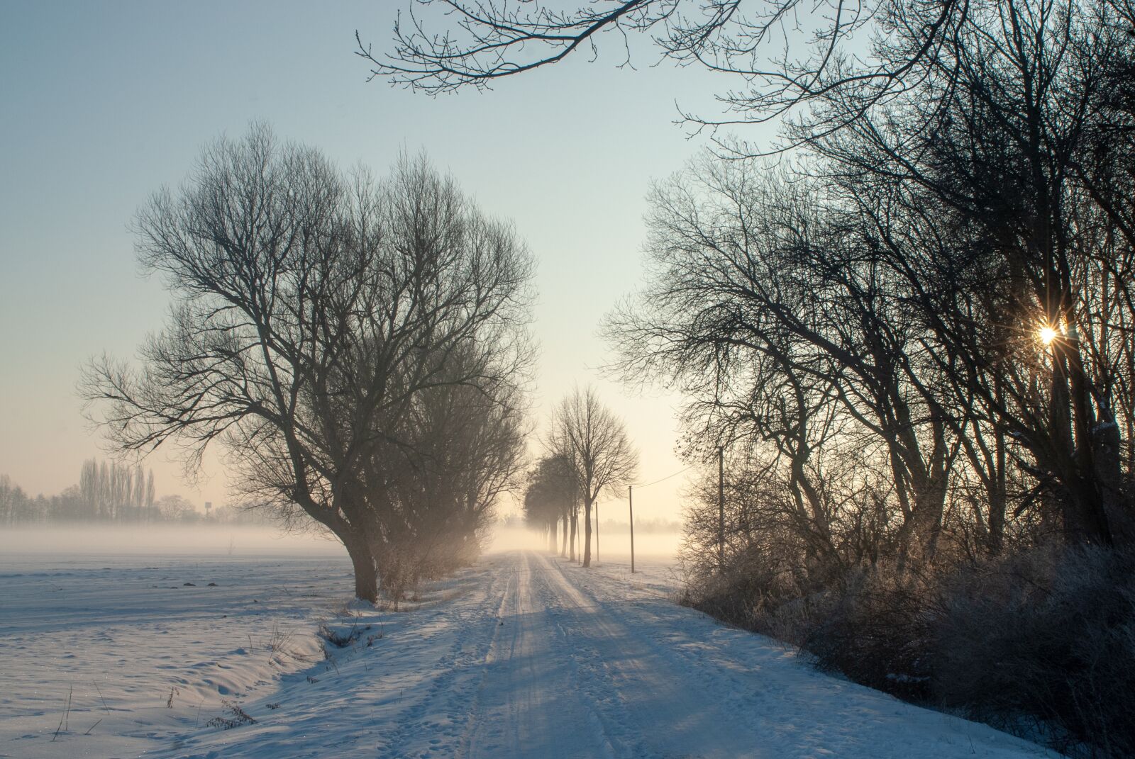 Nikon D200 sample photo. Winter, morning, fog photography
