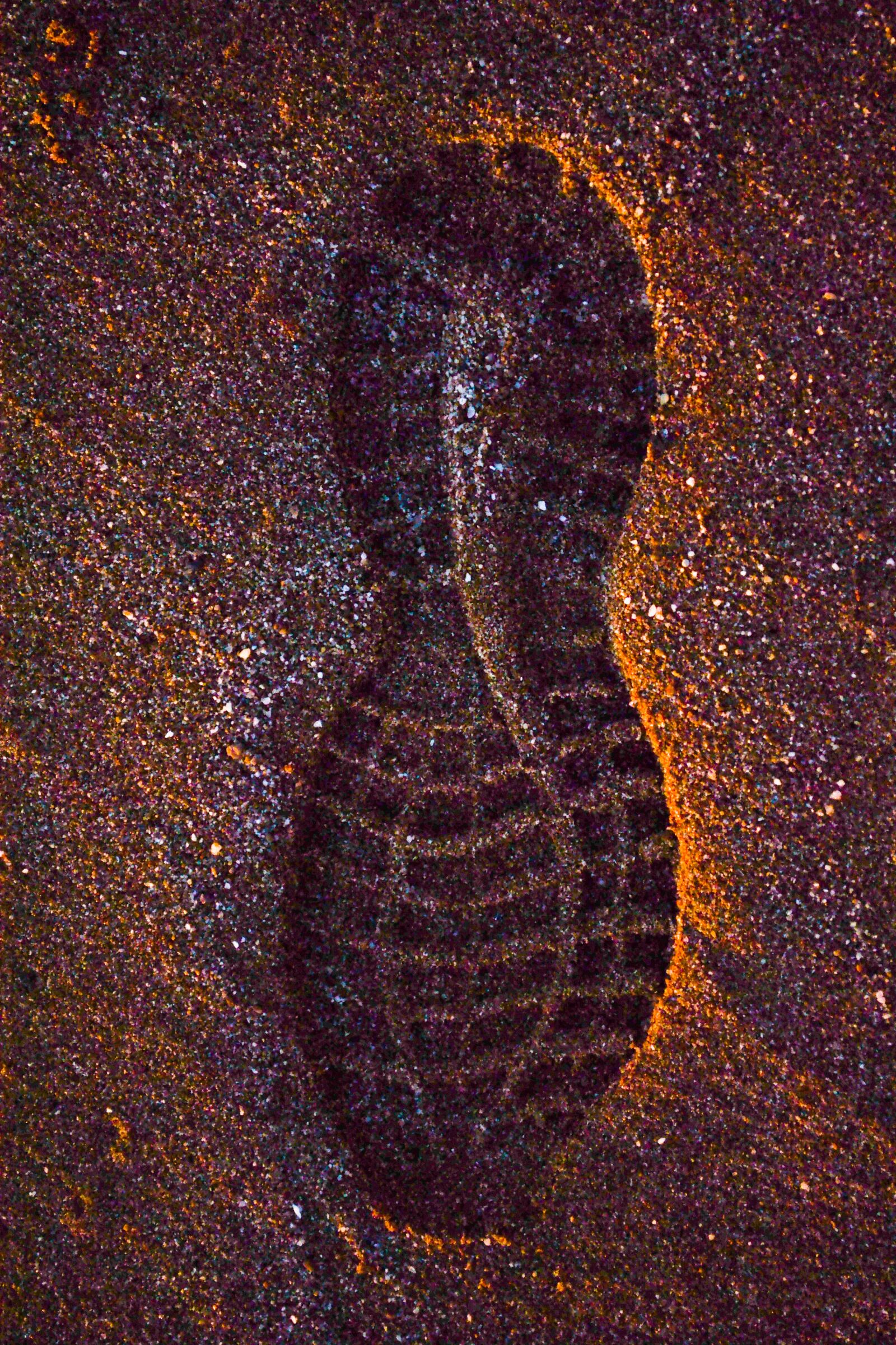 Nikon D3100 sample photo. Footprint, shoe, sand photography