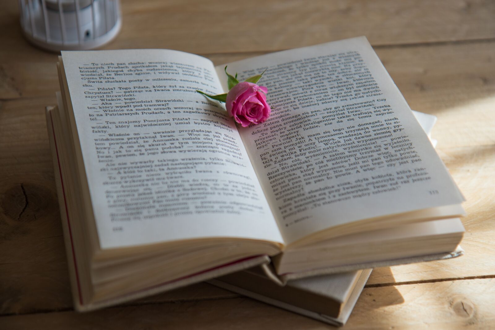 Canon EOS 7D Mark II sample photo. Book, romantic scene, love photography