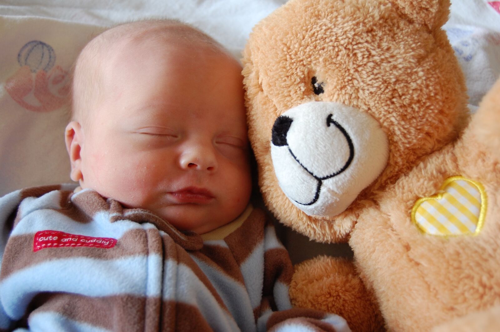 Nikon D40 sample photo. Baby, love, bear photography