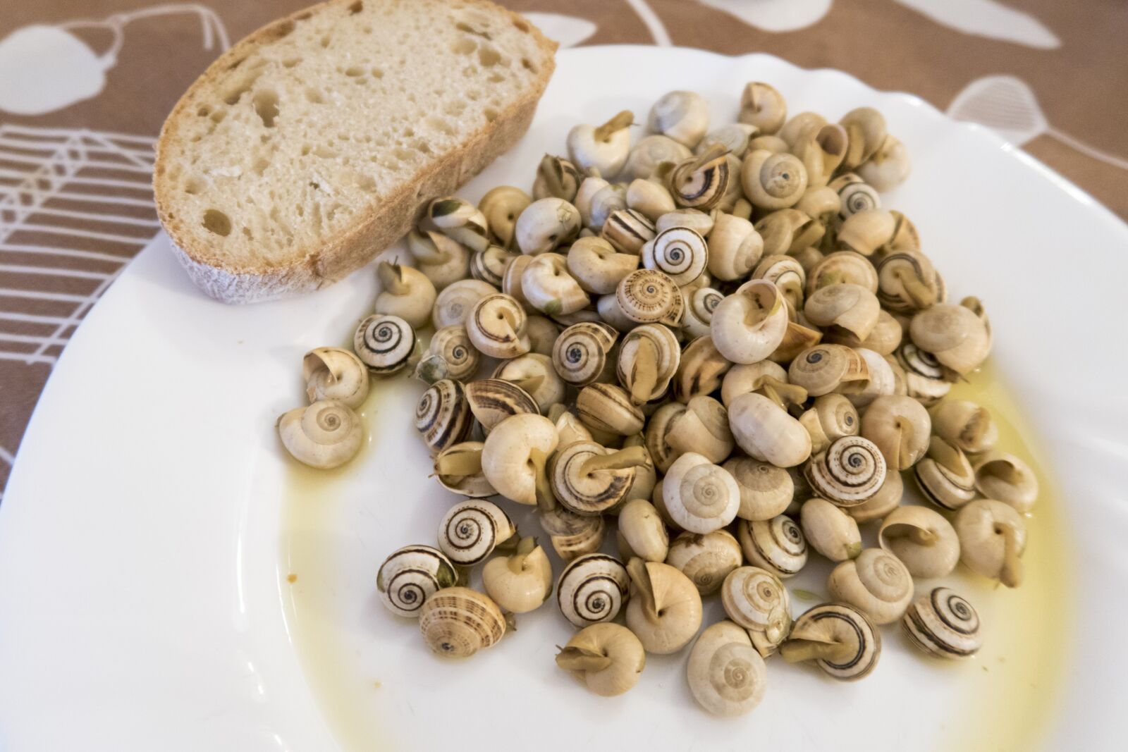 Canon PowerShot G7 X Mark II sample photo. Snails, caracolada, pao photography