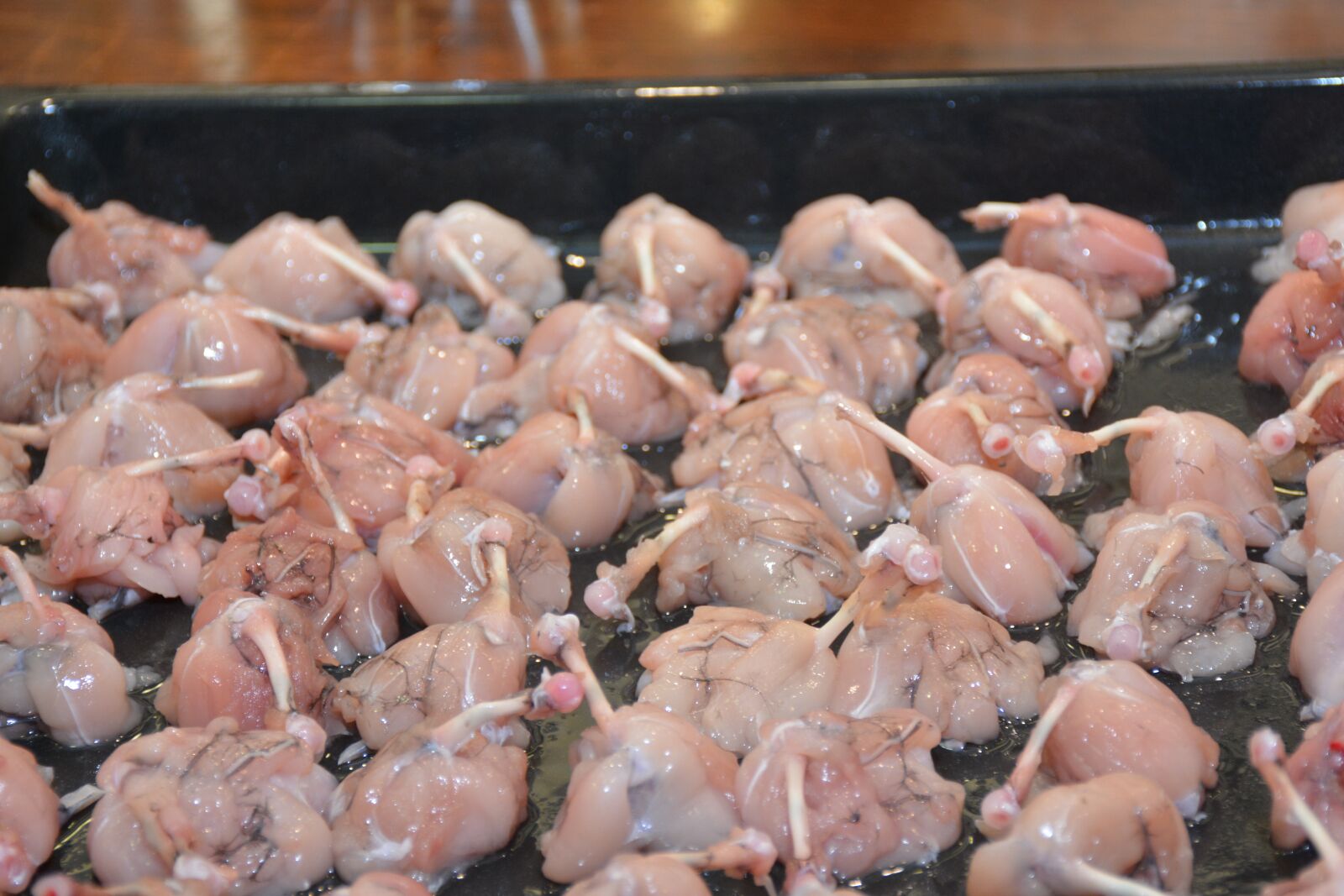Nikon D7100 sample photo. Frog legs, frogs ' photography