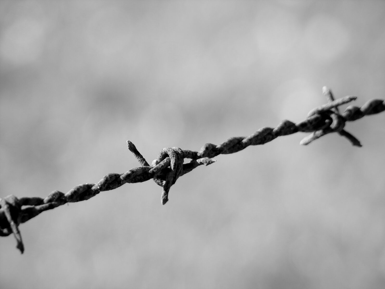 JK KODAK PIXPRO AZ421 sample photo. Iron, barbed, wire photography