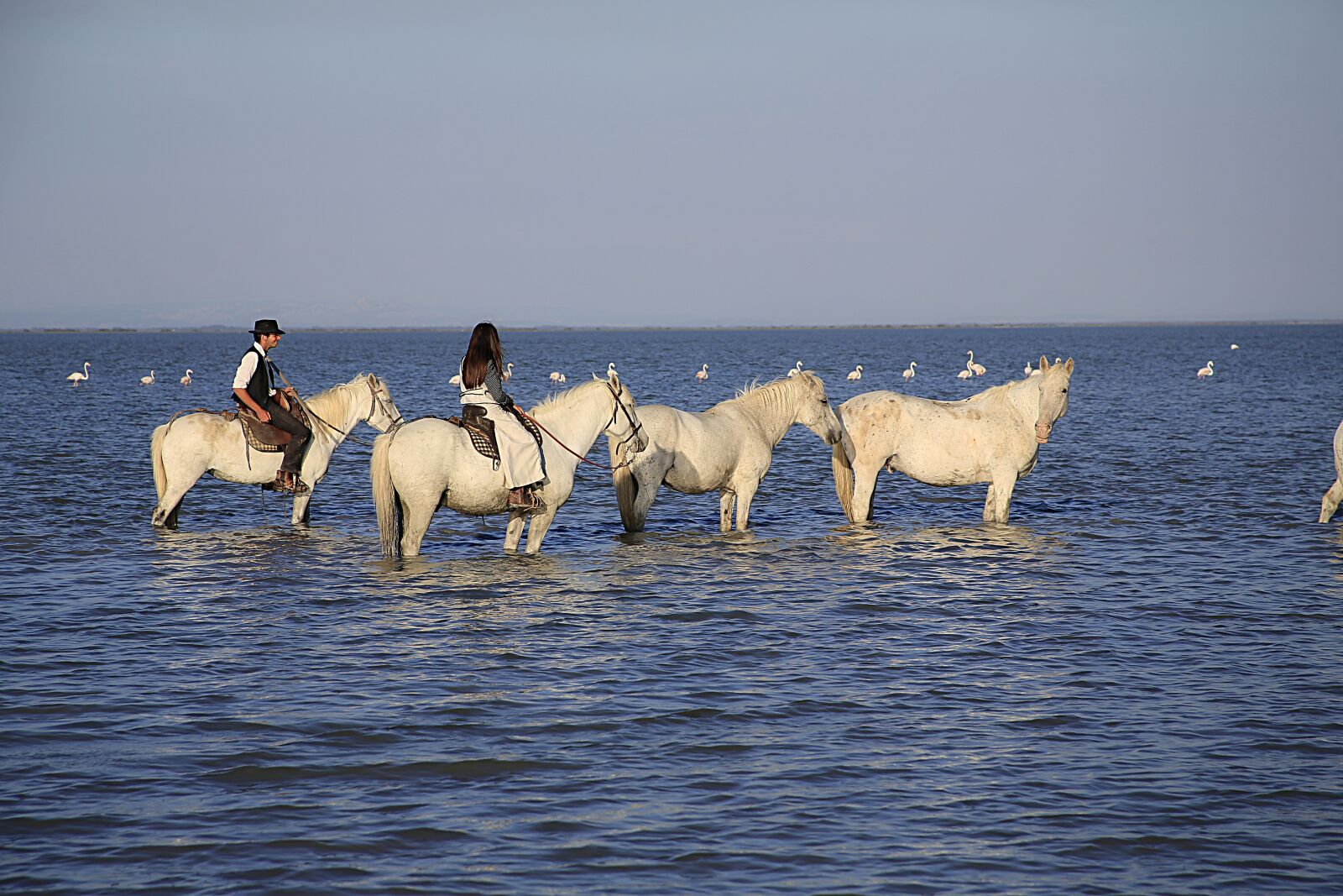 Canon EOS 5D Mark III sample photo. Horses, herd, gardian photography
