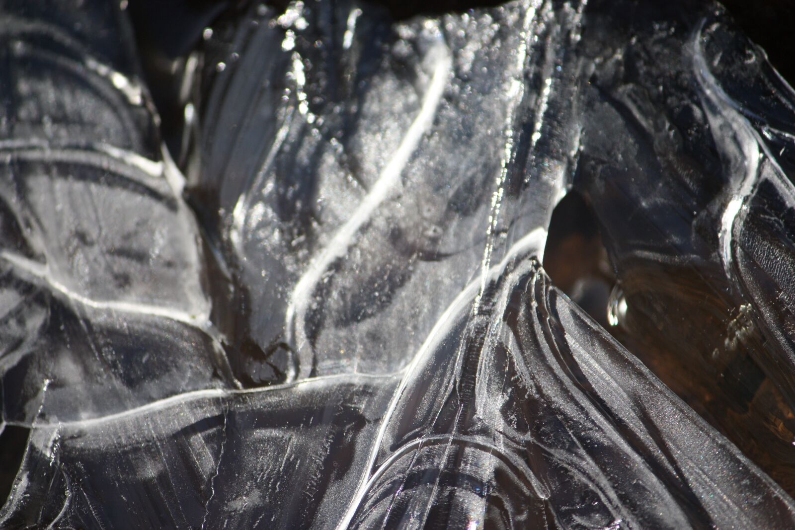 Canon EOS 450D (EOS Rebel XSi / EOS Kiss X2) sample photo. Gel, ice, winter photography