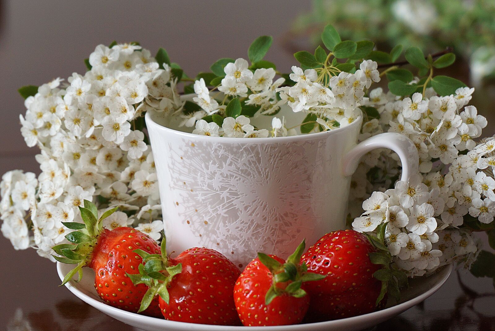 Sony a6000 sample photo. Strawberry ripe, red, white photography