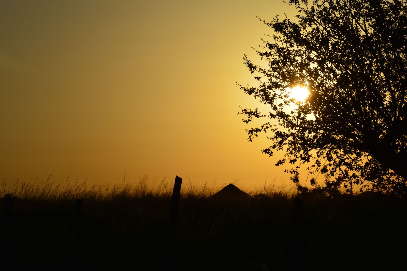 Nikon D3200 sample photo. Grassroots cottages tours, purongo photography