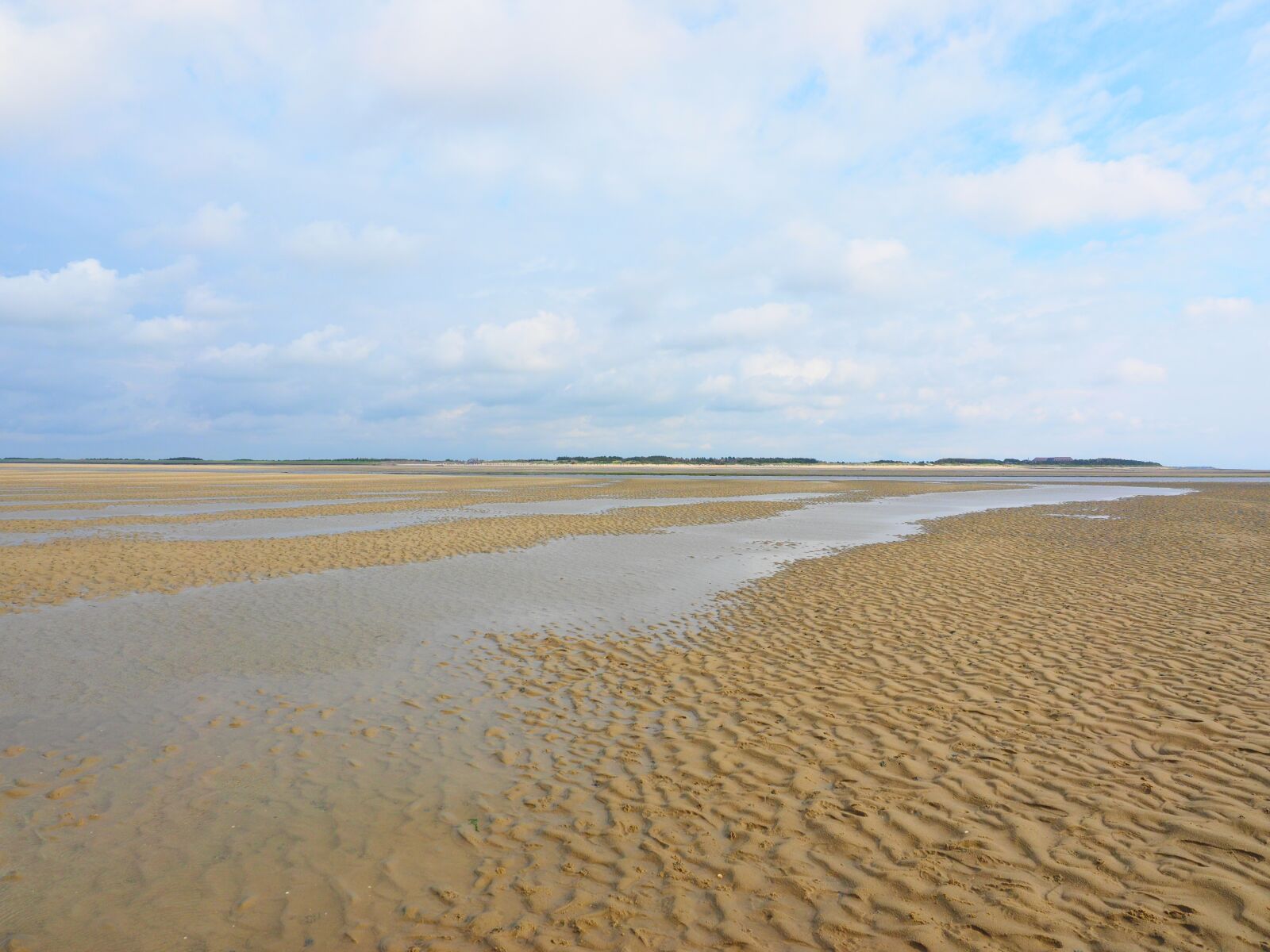 Olympus OM-D E-M1 + Olympus M.Zuiko Digital ED 12-40mm F2.8 Pro sample photo. Priel, watts, wadden sea photography