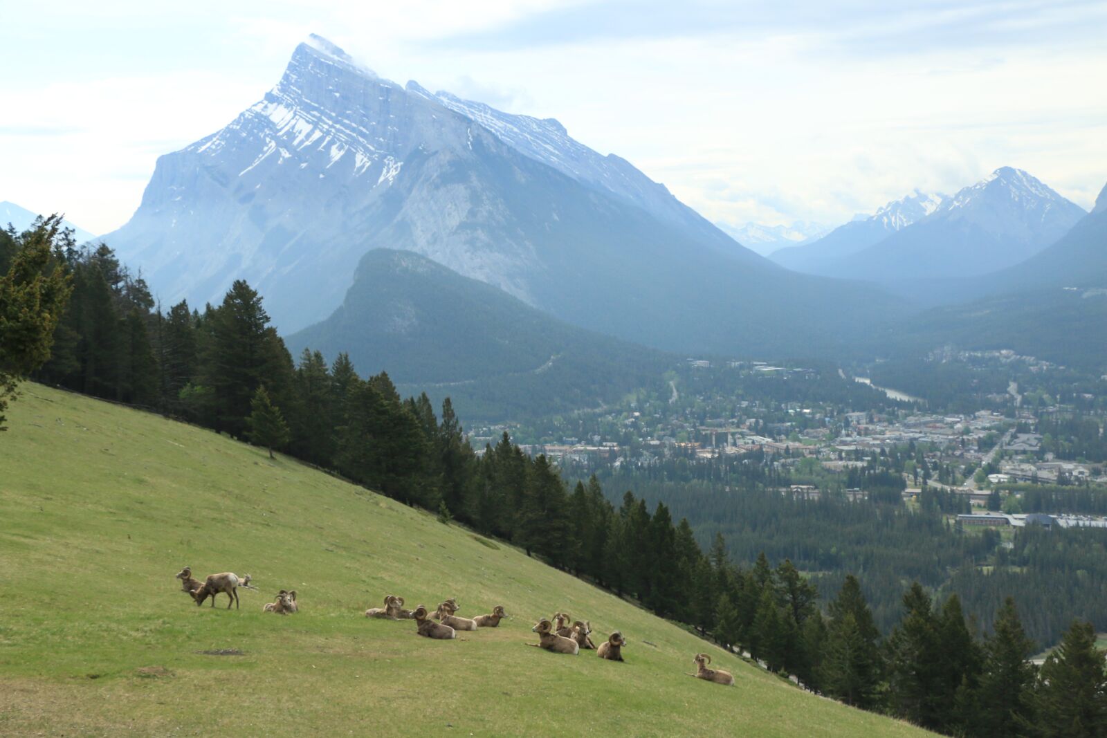 Canon EOS 70D sample photo. Banff, alberta, canada photography