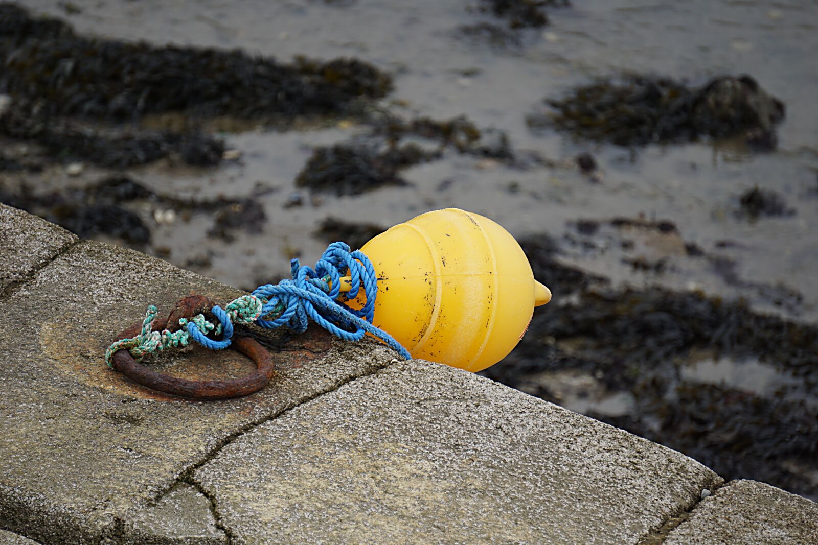 Sony a6000 sample photo. Buoy, float, bowls photography