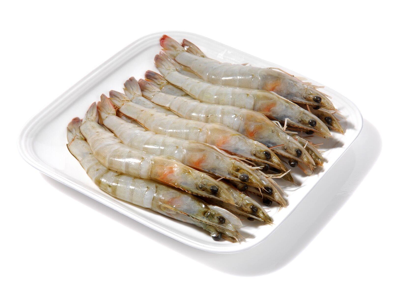 Nikon D2Xs sample photo. Shrimp, sea, crustaceans photography