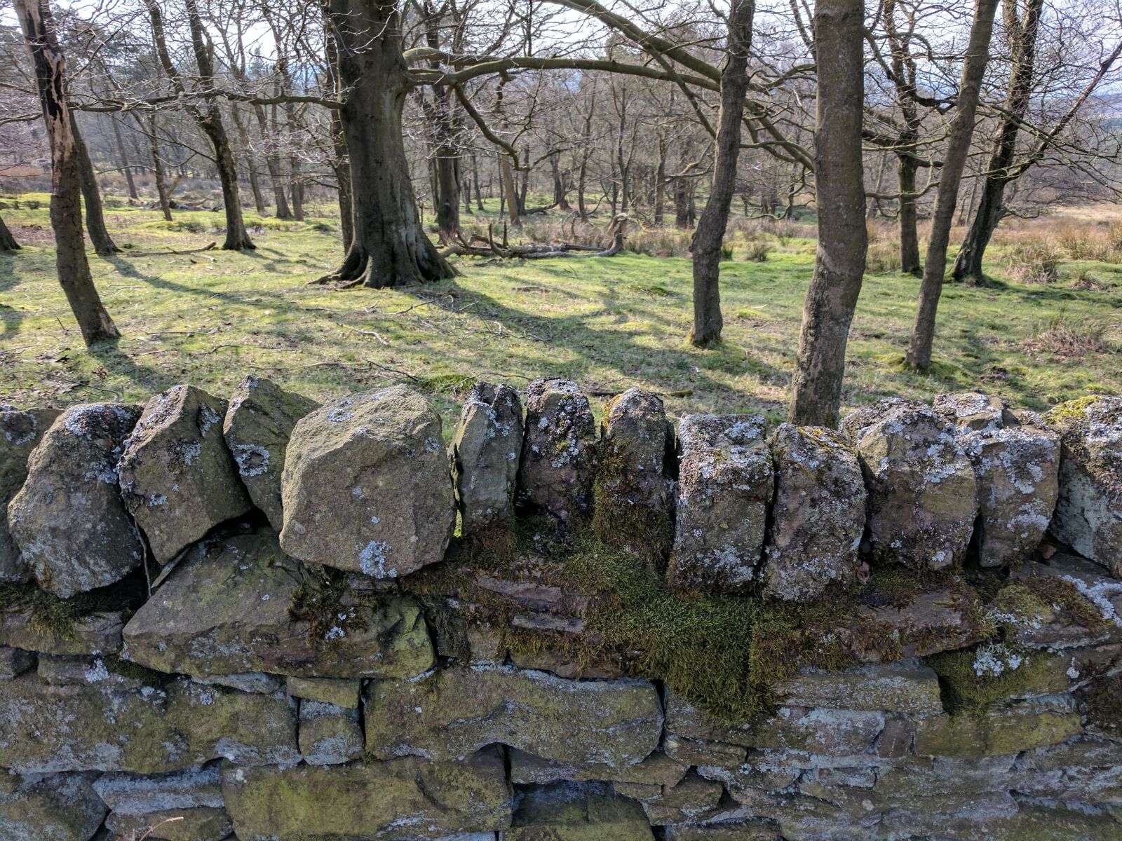 Google Pixel sample photo. Drystone wall, walls, stones photography