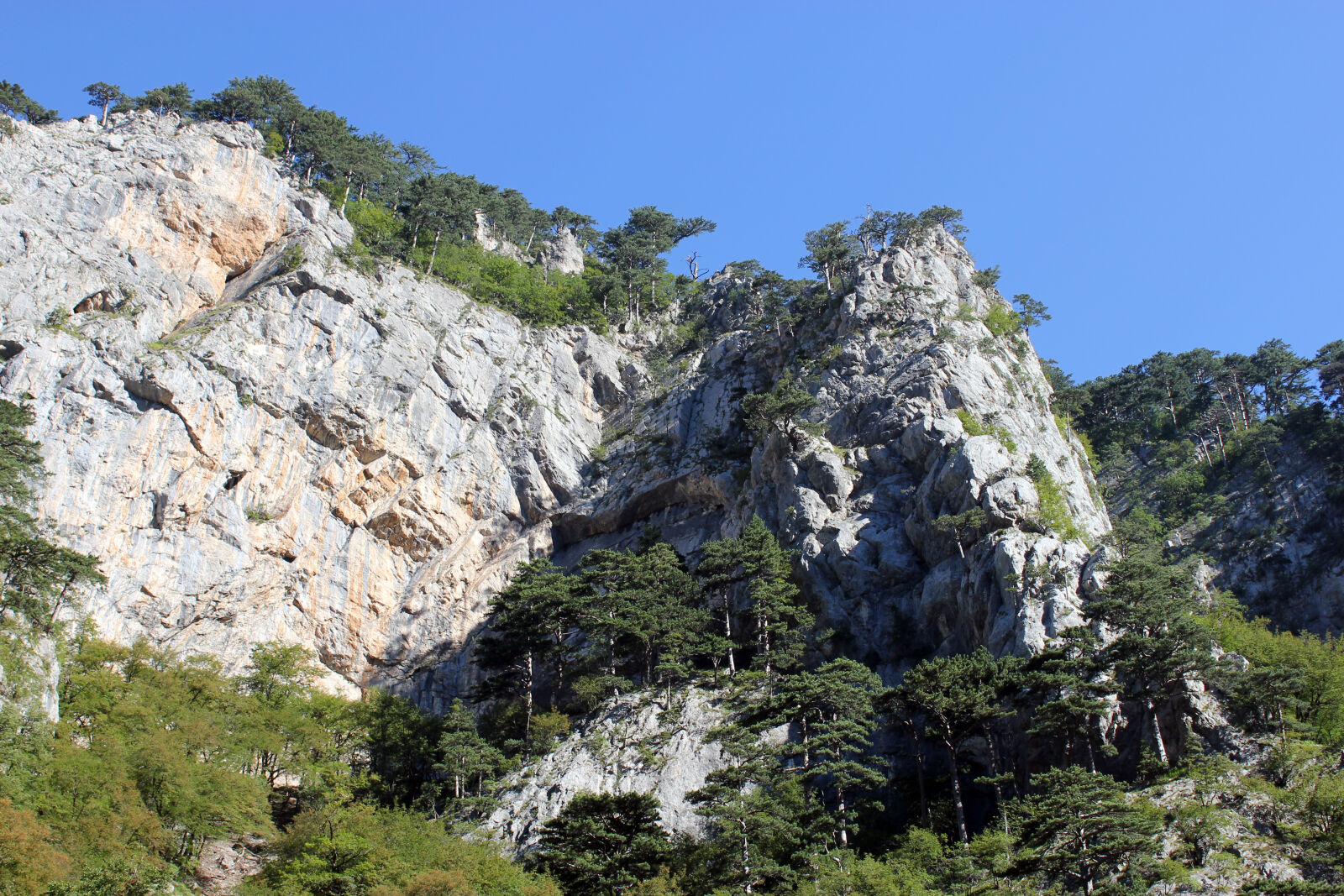 Canon EOS 550D (EOS Rebel T2i / EOS Kiss X4) sample photo. Bosnia, and, herzegovina, national photography