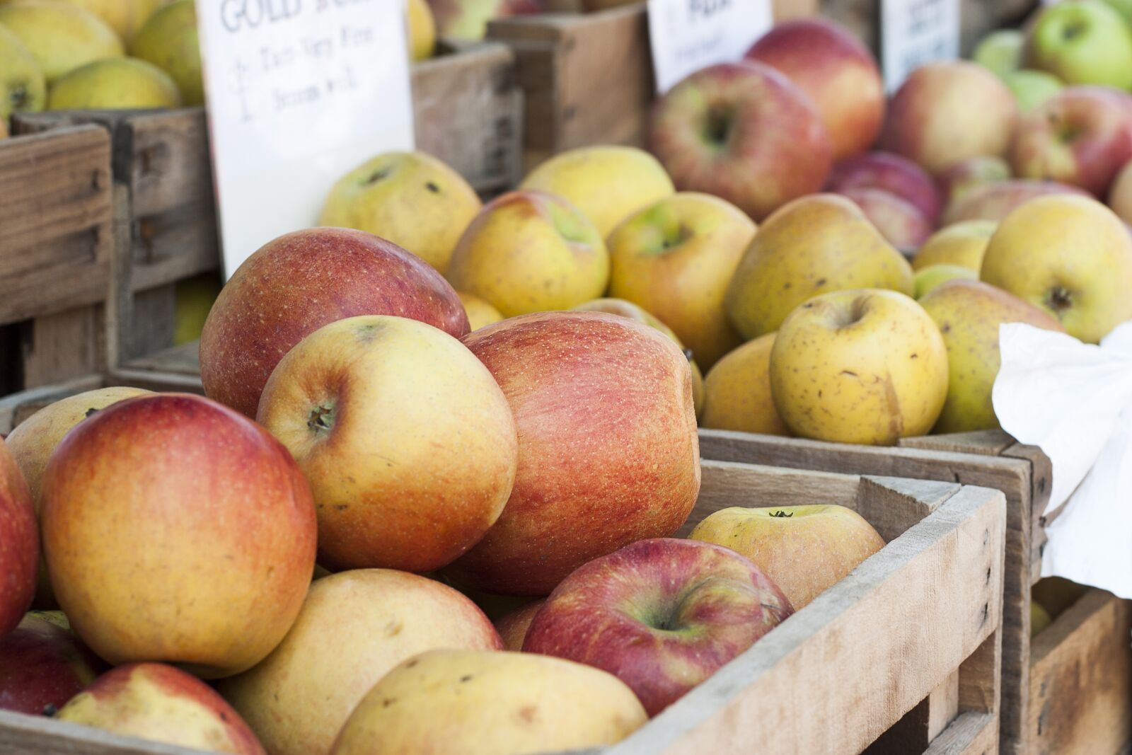Canon EOS 30D sample photo. Apples, market, organic photography
