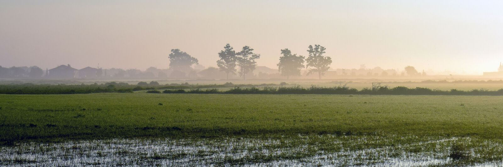 Nikon D3300 sample photo. Landscape, fog, misty photography