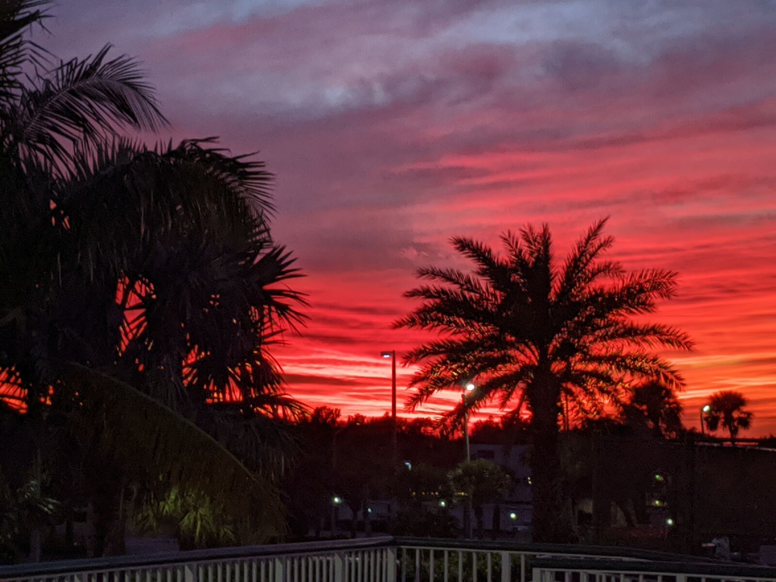 Google Pixel 2 sample photo. Sunset, florida, palm trees photography