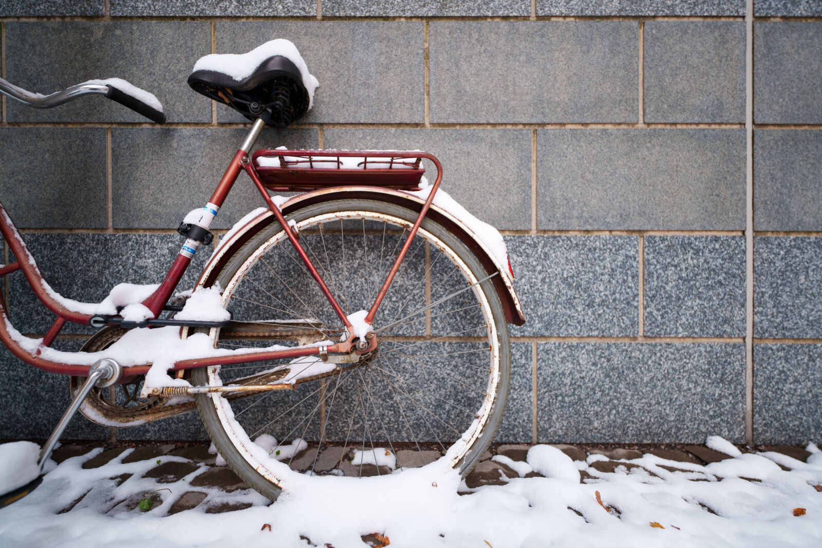 Sigma 14mm F1.4 DG DN sample photo. Forgotten bicycle photography