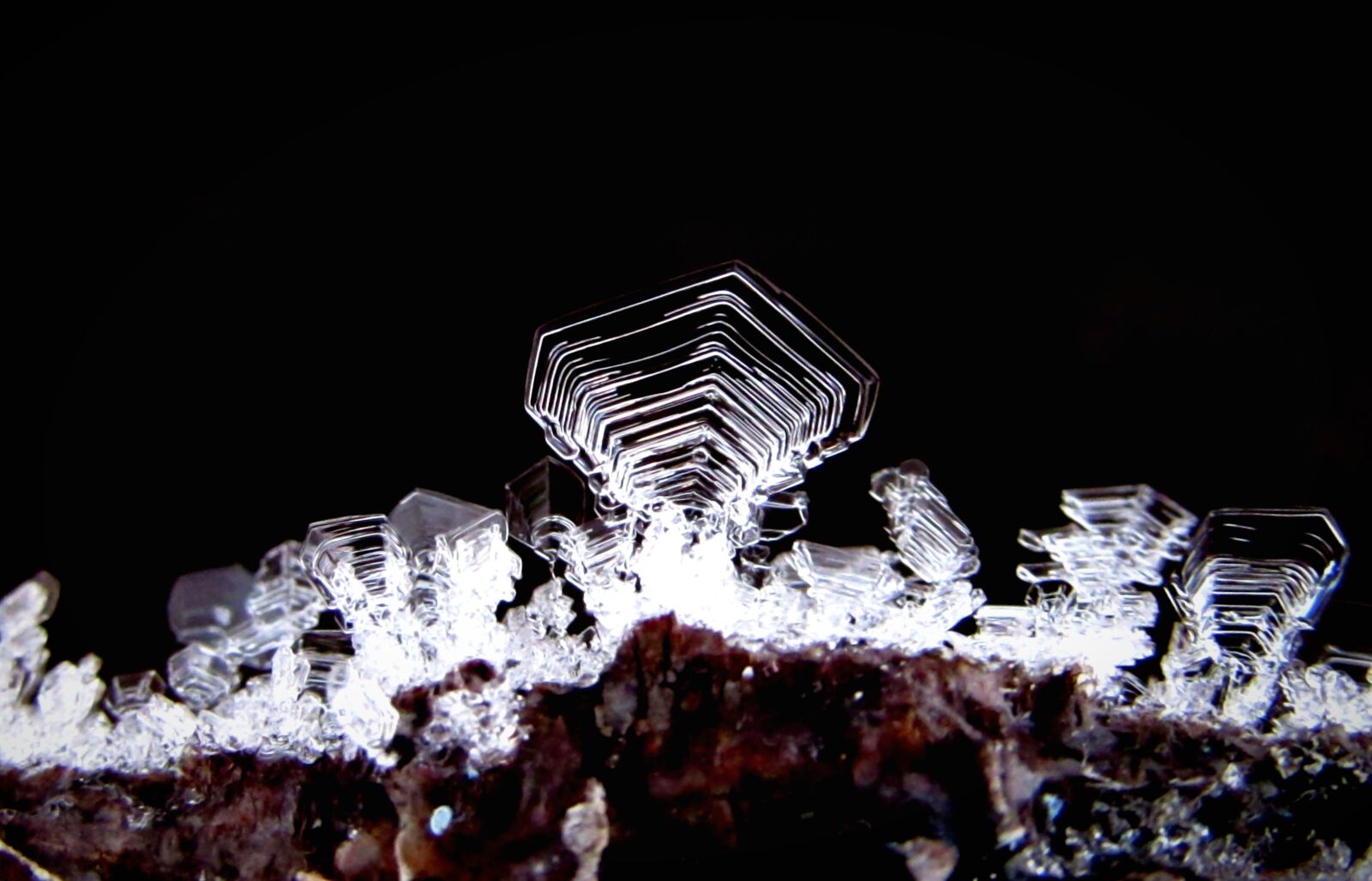 Canon PowerShot SX530 HS sample photo. Snow, ice, macro photography