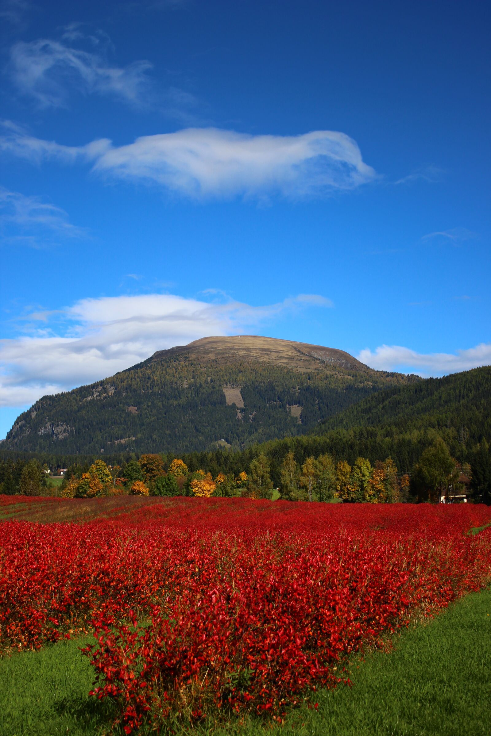 Canon EOS 600D (Rebel EOS T3i / EOS Kiss X5) sample photo. Landscape, nature, panorama photography