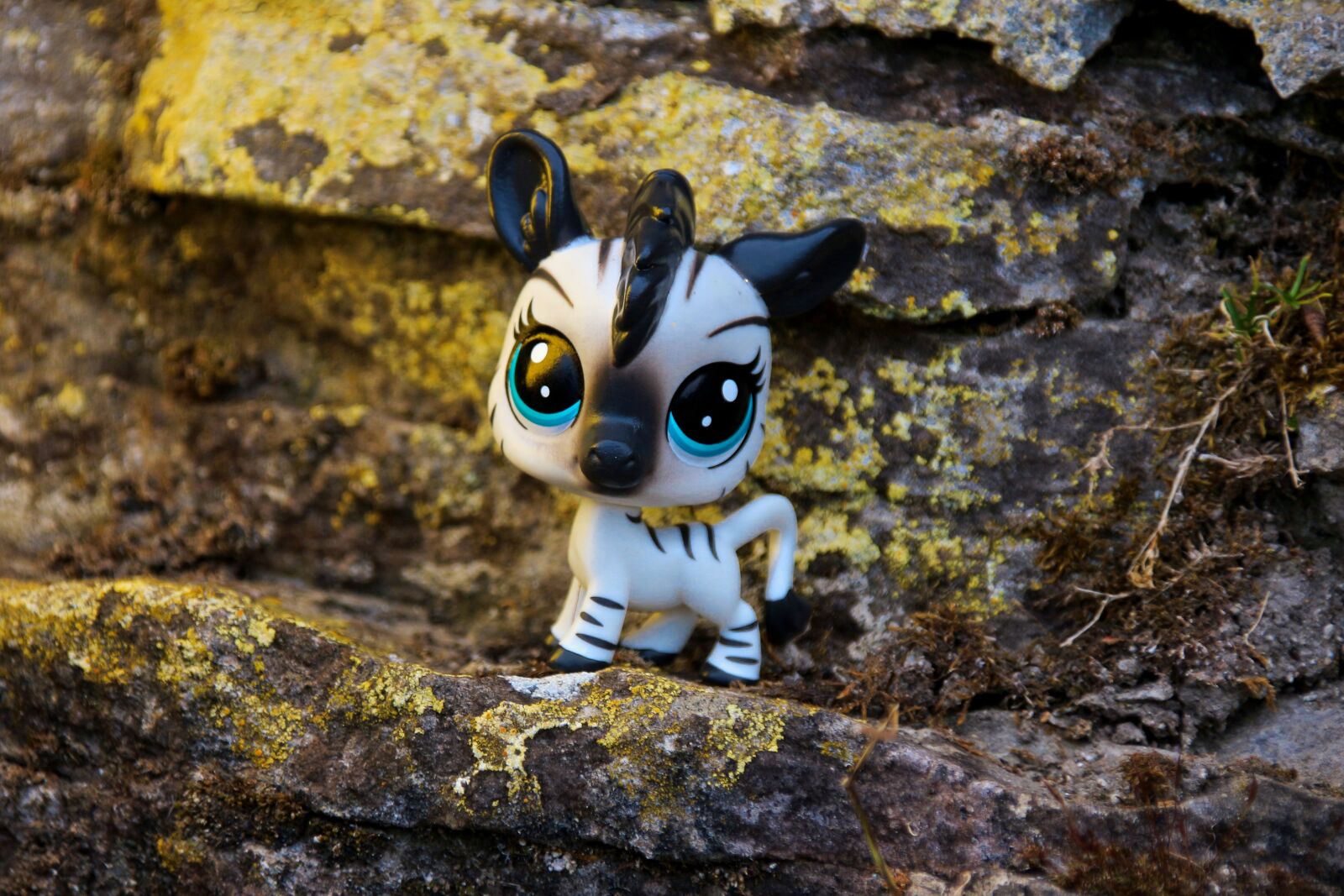 Canon EOS 700D (EOS Rebel T5i / EOS Kiss X7i) sample photo. Littlest pet shop, toys photography