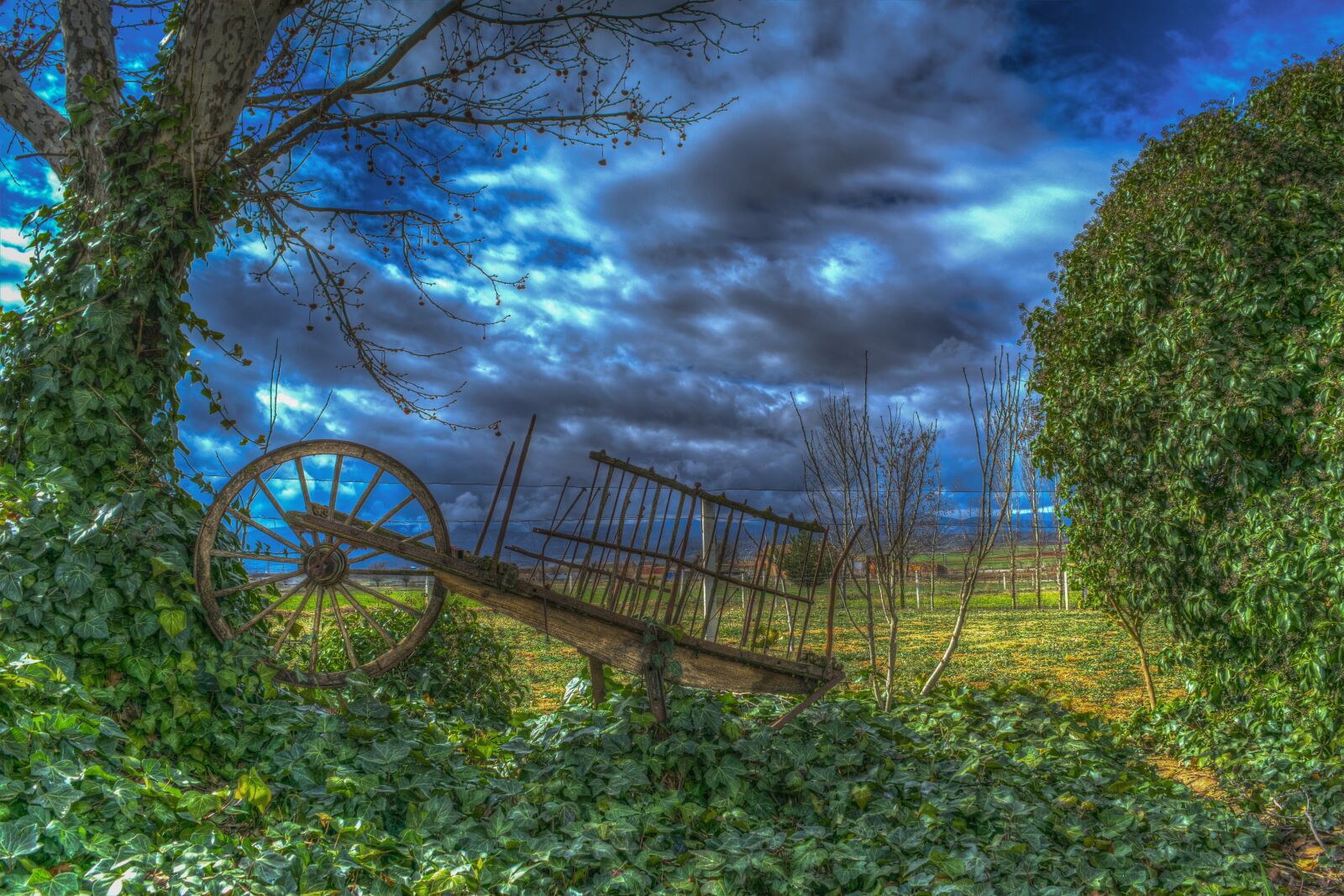 Nikon D3300 sample photo. Car, landscape, sky photography