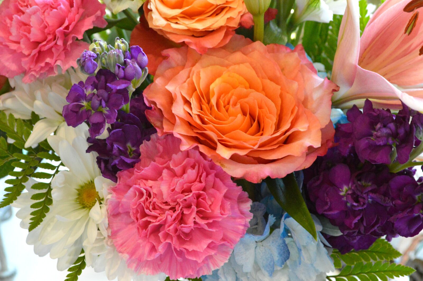 Nikon D3200 sample photo. Flowers, bouquet, roses photography