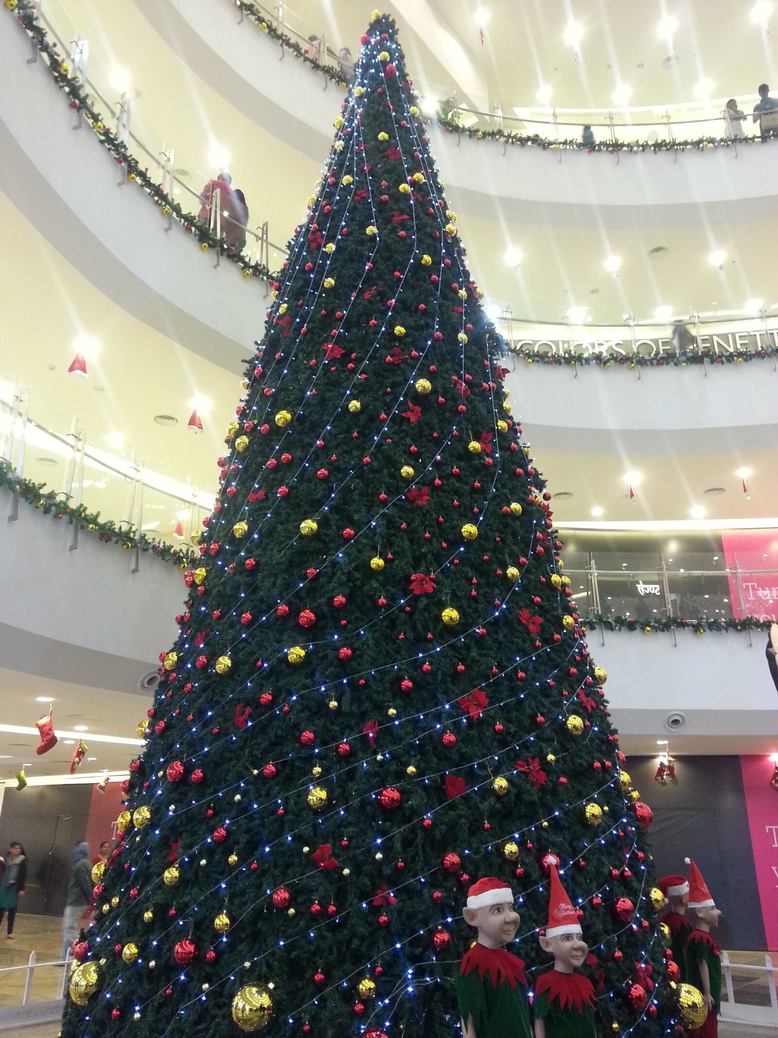 Samsung Galaxy Note2 sample photo. Christmas, tree, xmas photography